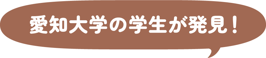 愛知大学の学生が発見!